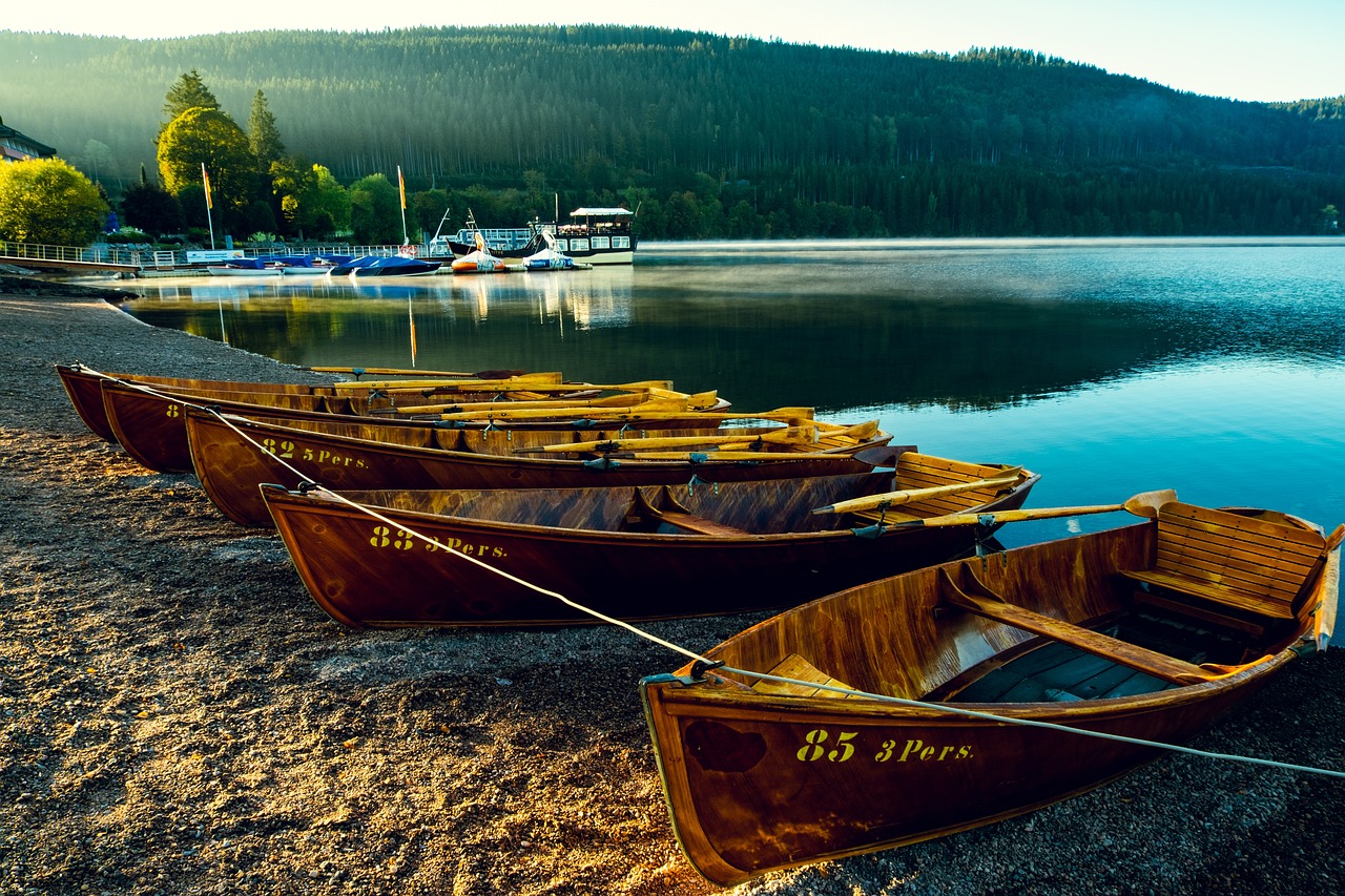 Culinary Delights and Black Forest Adventures in Titisee-Neustadt