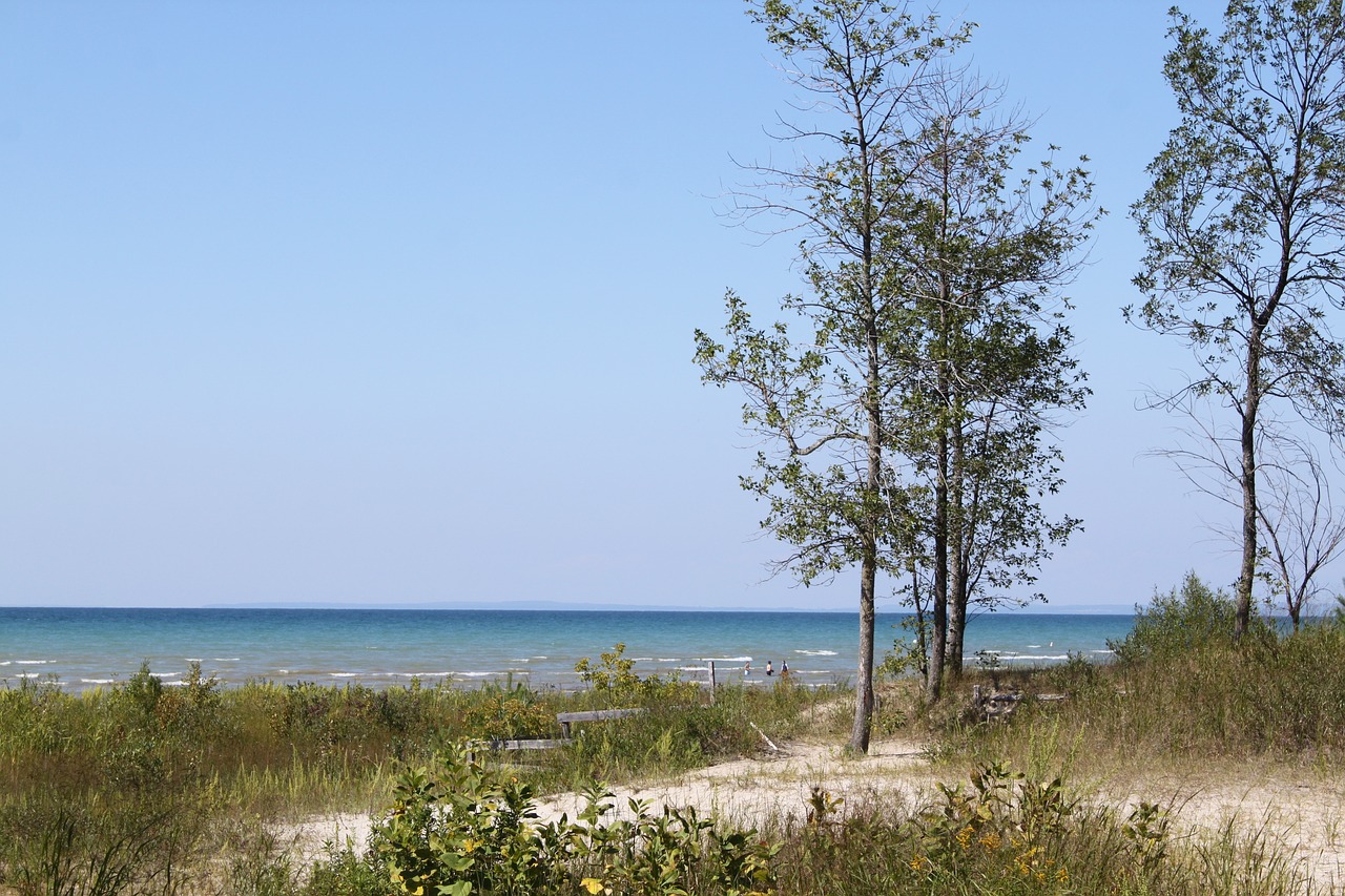 Culinary and Scenic Delights in Wasaga Beach