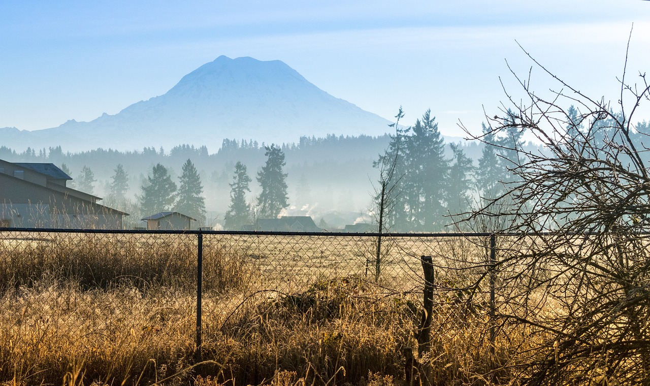 Exploring the Majesty of Mount Rainier in 4 Days