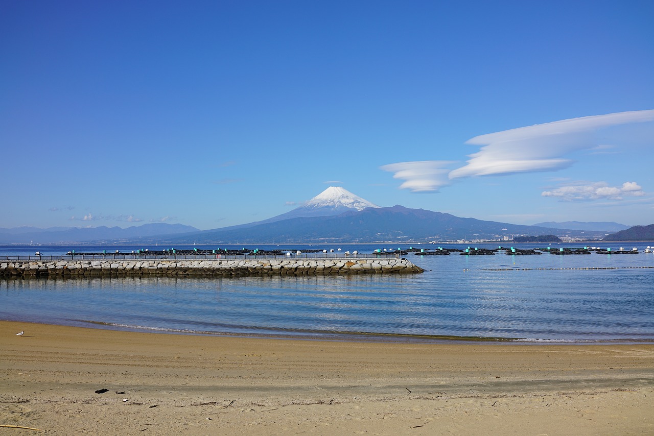 Scenic Delights and Fresh Seafood in Numazu