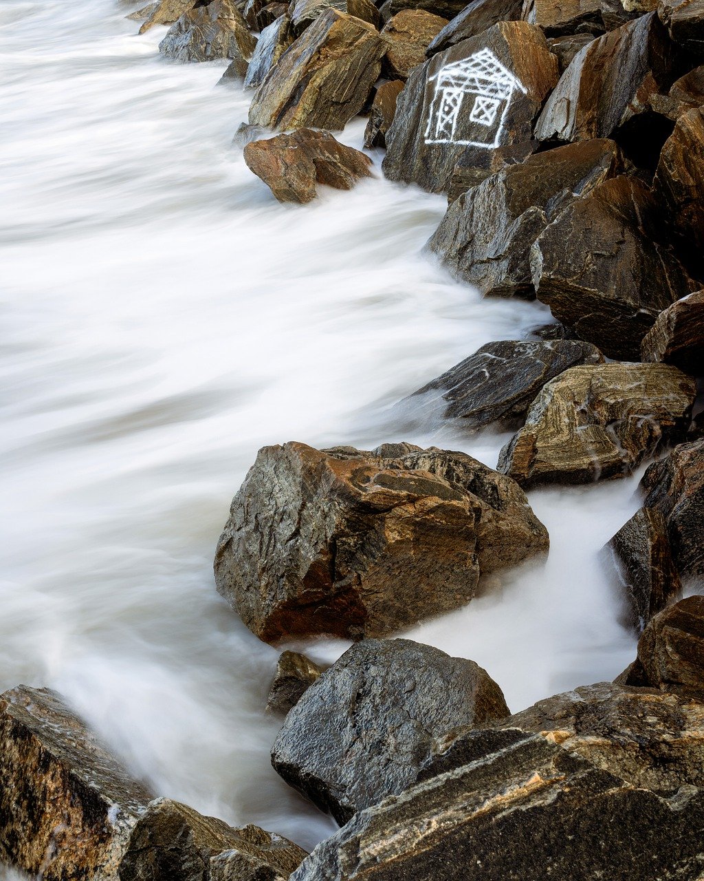 Nature and Wildlife Adventure in Long Jetty