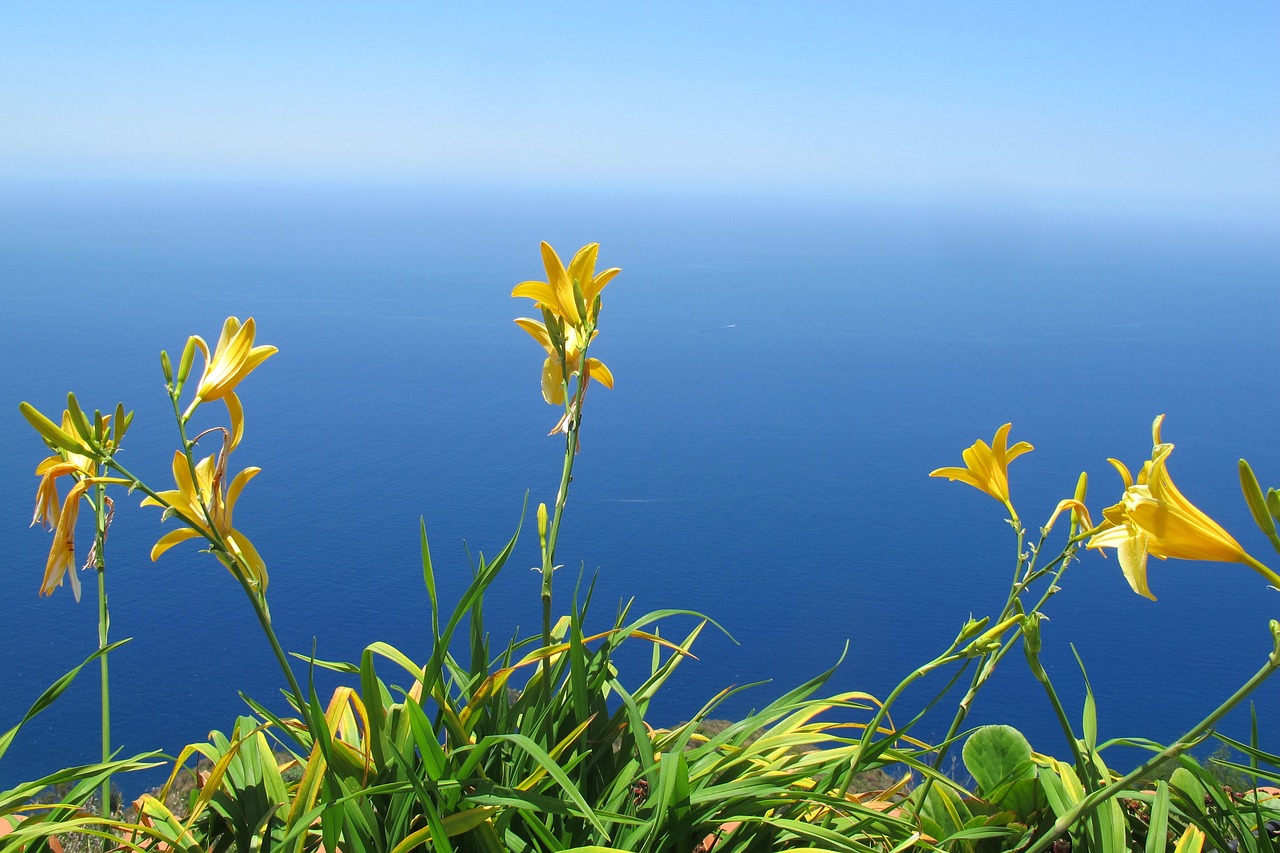 Calheta Coastal Delights and Mountain Adventures