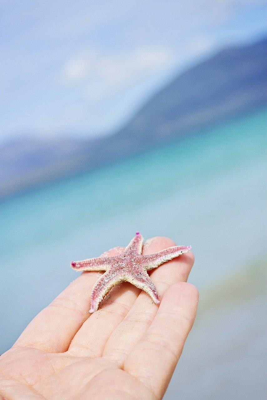 A Gastronomic Journey in Isle of Harris