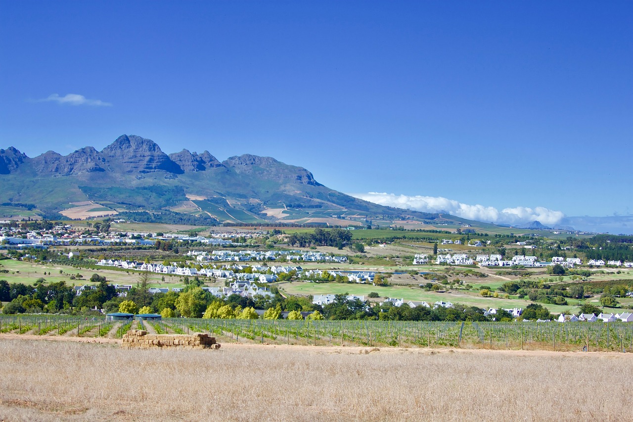 Vineyards and Culinary Delights in Stellenbosch