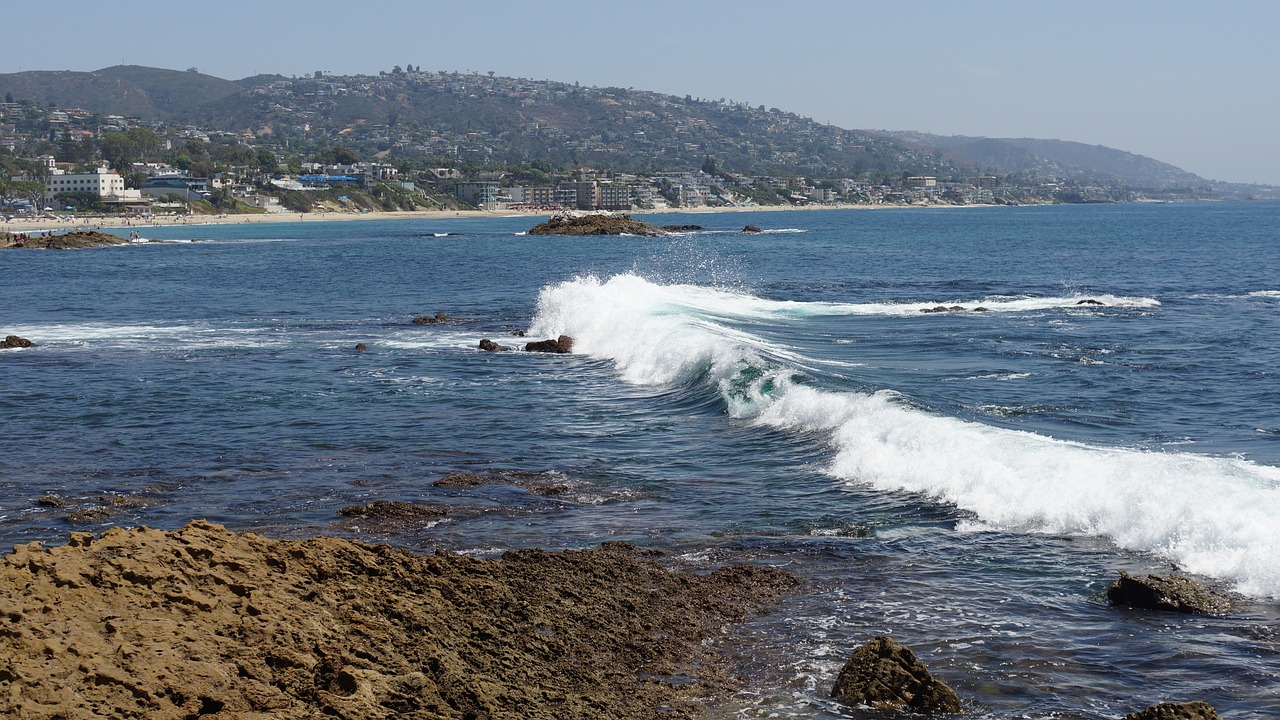 Whale Watching and Coastal Delights in Dana Point