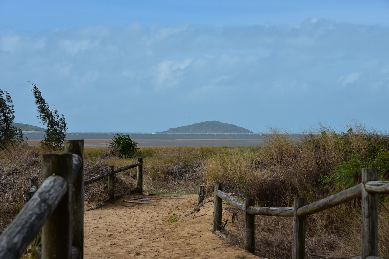 Wallabies and Waterfront Dining in Mackay