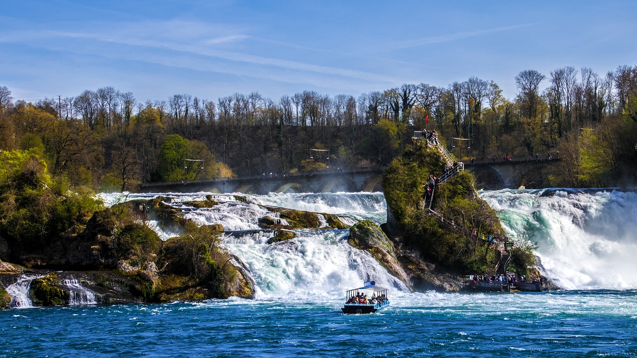 Rhine Falls and Swiss Delights