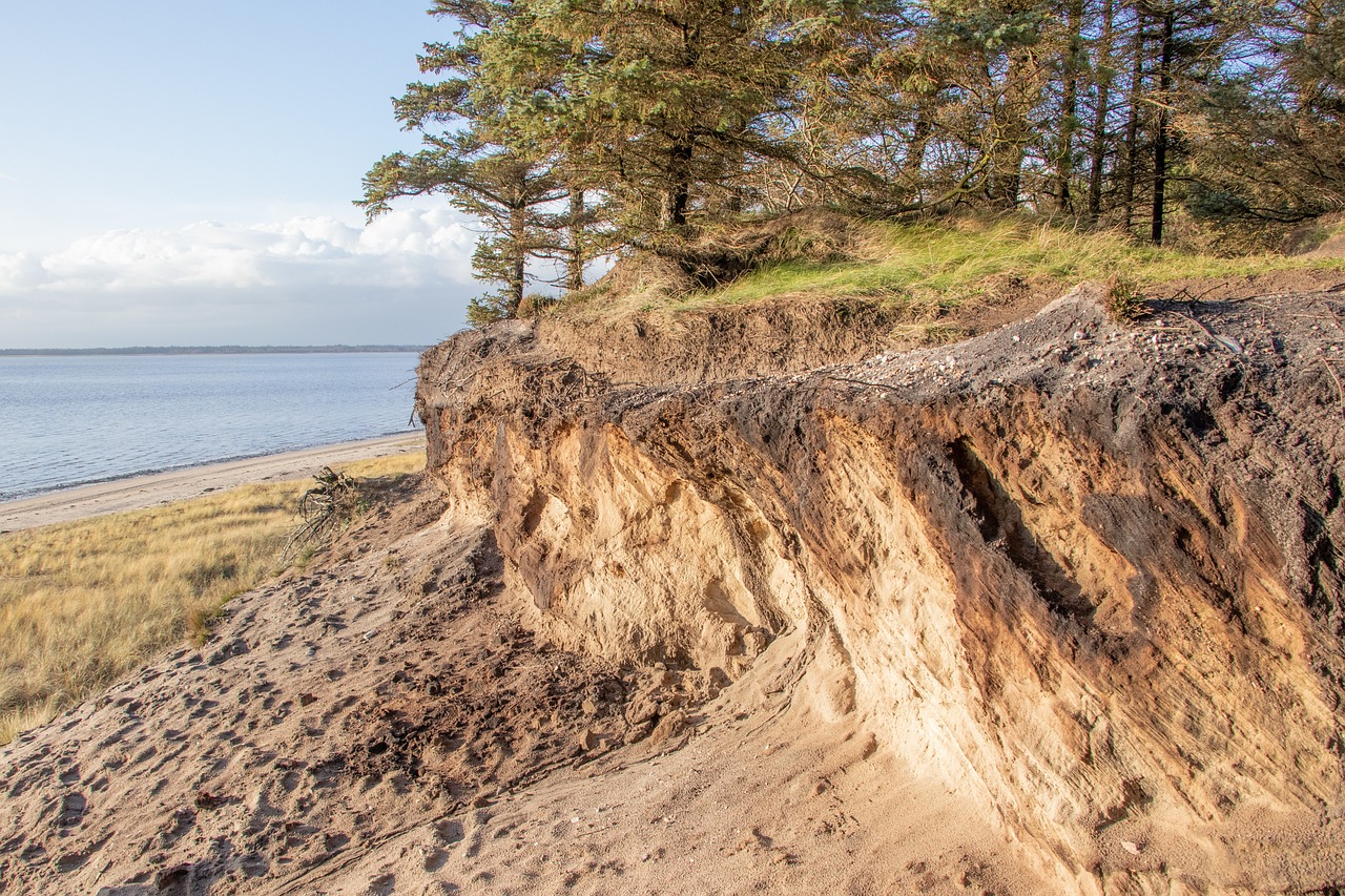 Esbjerg Culinary and Mystery Delights