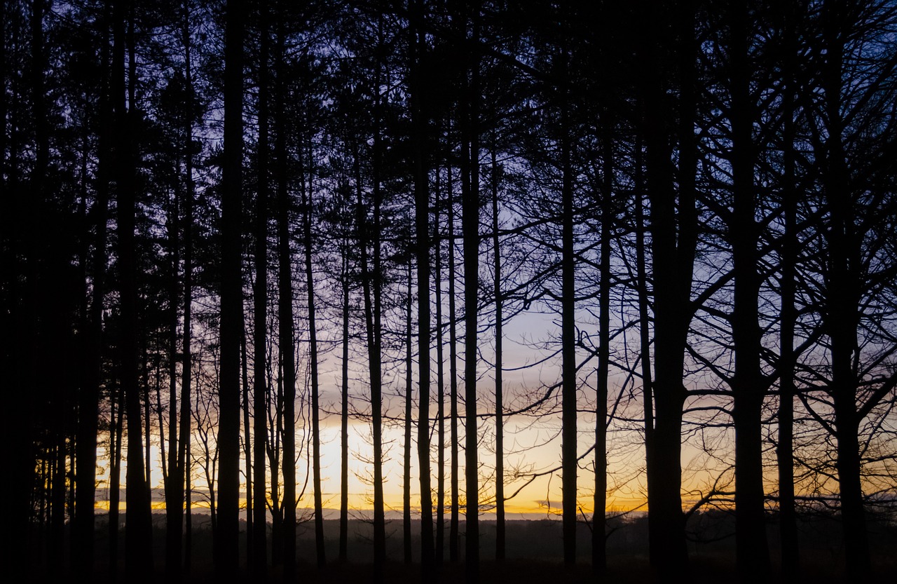 Cannock and Staffordshire Delights