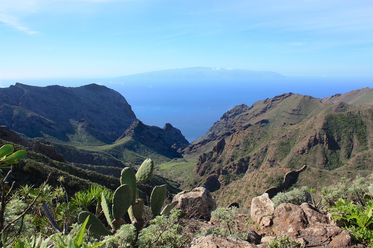 Explorando la Naturaleza de La Gomera