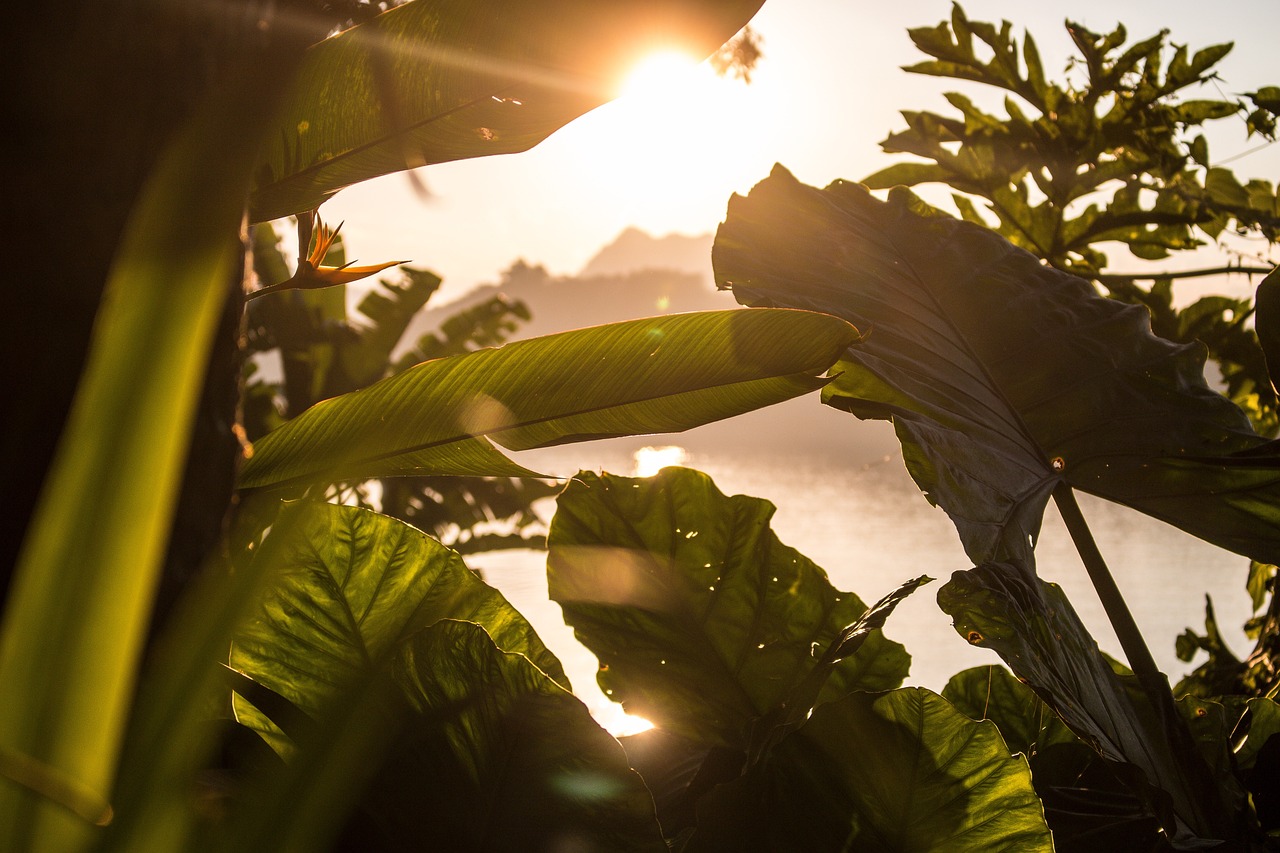 Explorando la Cultura y la Naturaleza de Laos en 5 Días