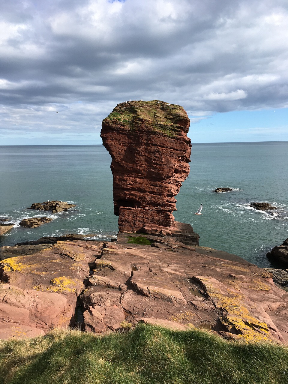 Historic St. Andrews and Scenic Arbroath Exploration