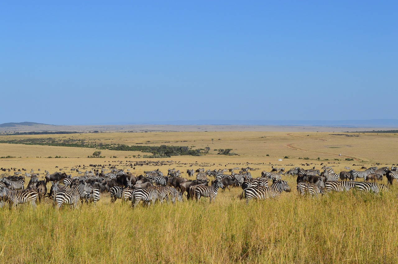 Ultimate Maasai Mara Safari Experience