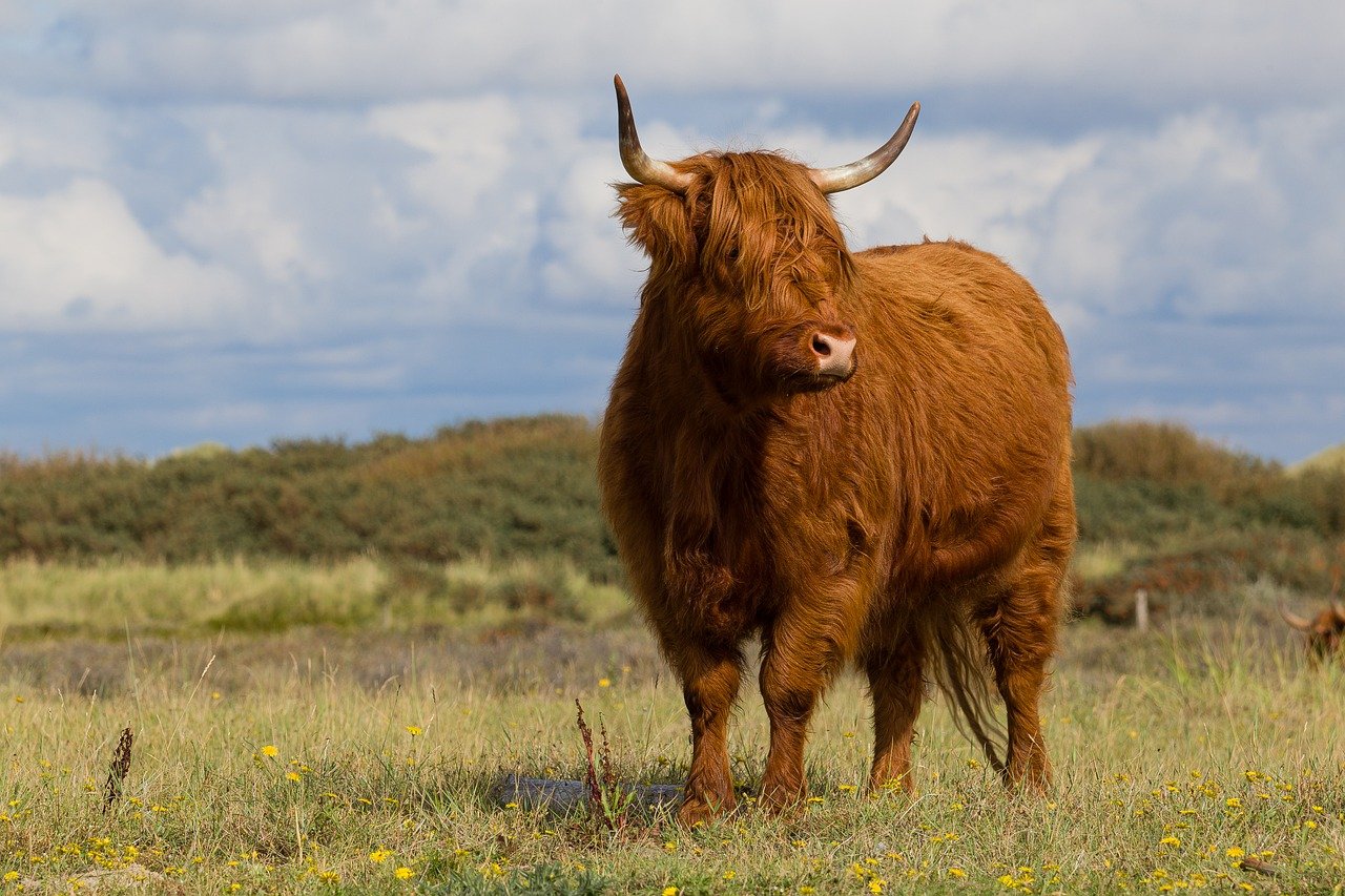 Highlands and Isle of Skye Adventure