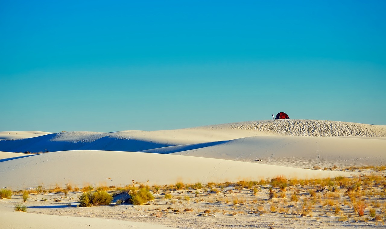 White Sands Adventure and Culinary Delights