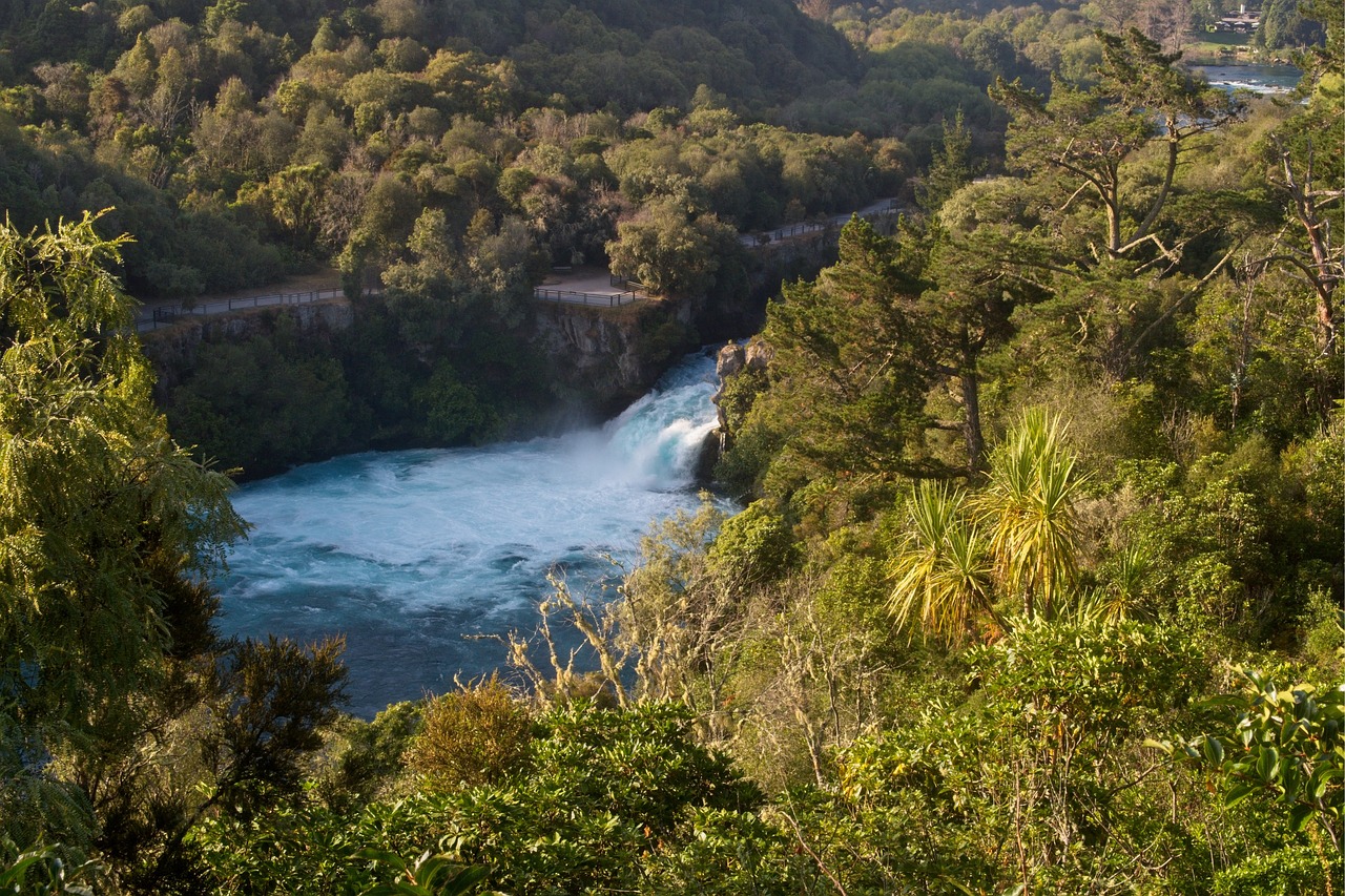 Thrilling Adventures in New River Gorge