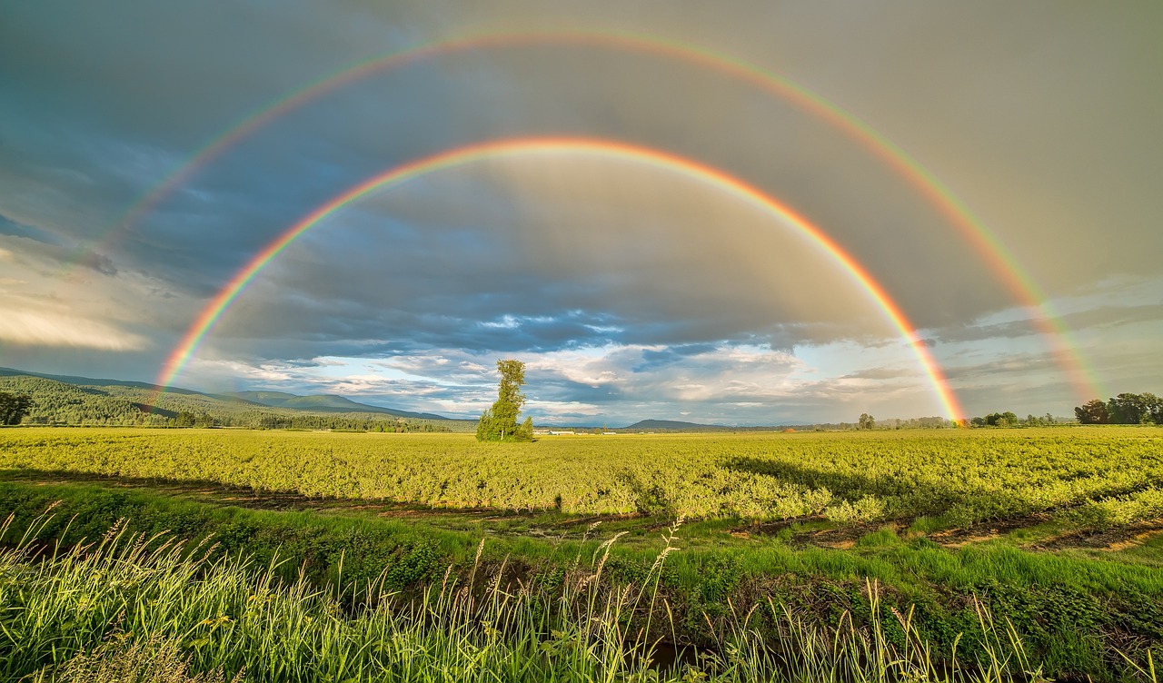 Scenic Pitt Meadows and Vancouver Excursion