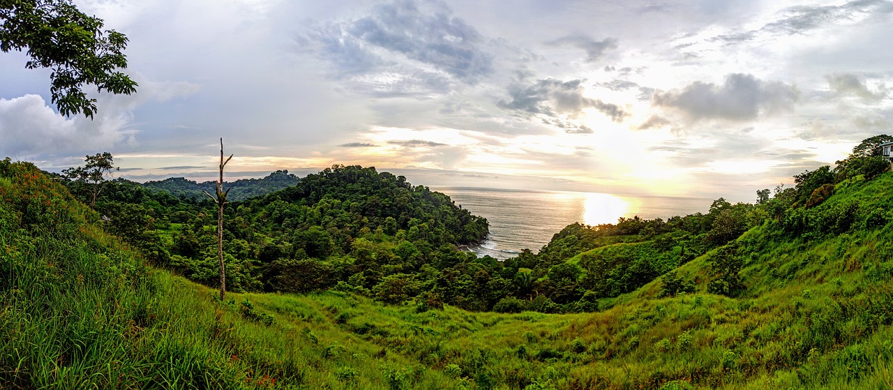 Wildlife and Waterfalls in Manuel Antonio