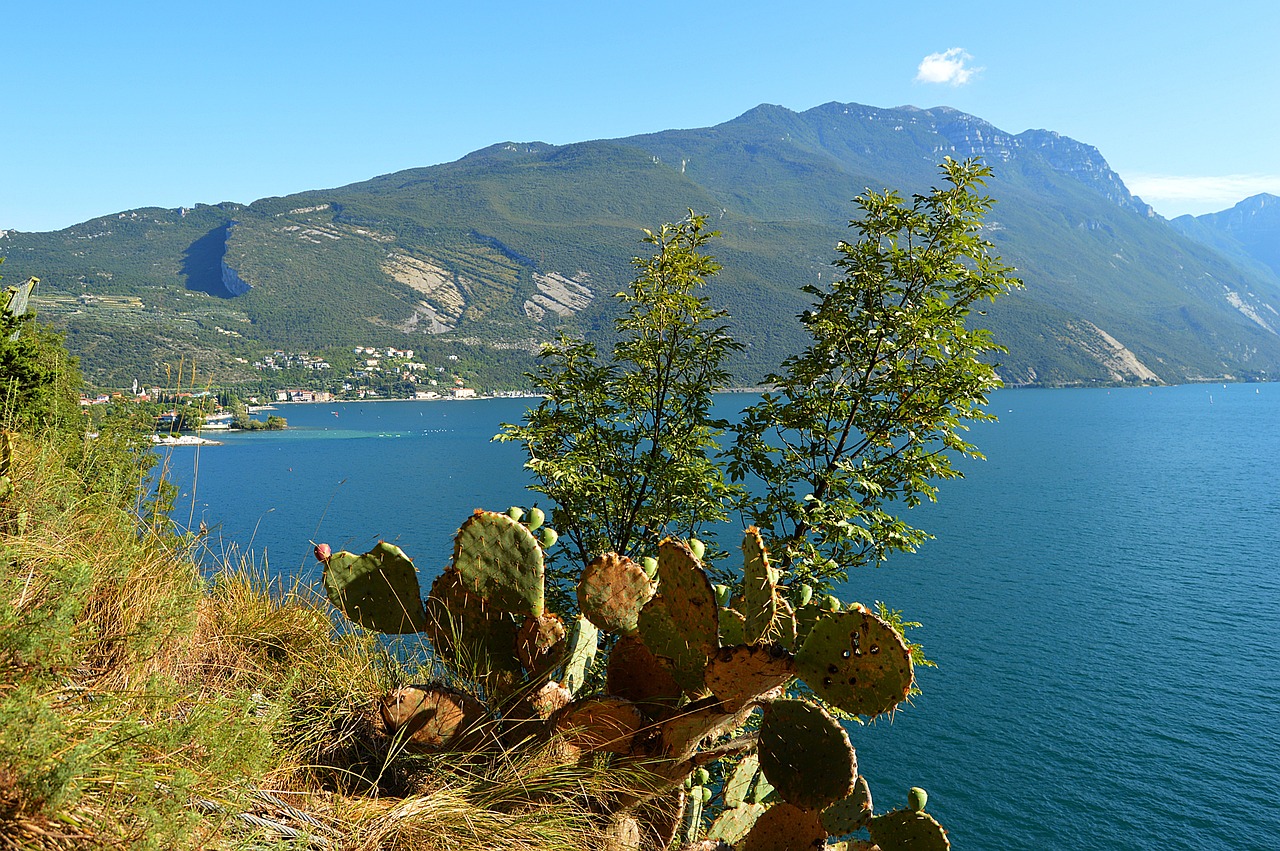 Scenic Adventure in Ticino: Canyoning, E-Biking, and Historic Tours