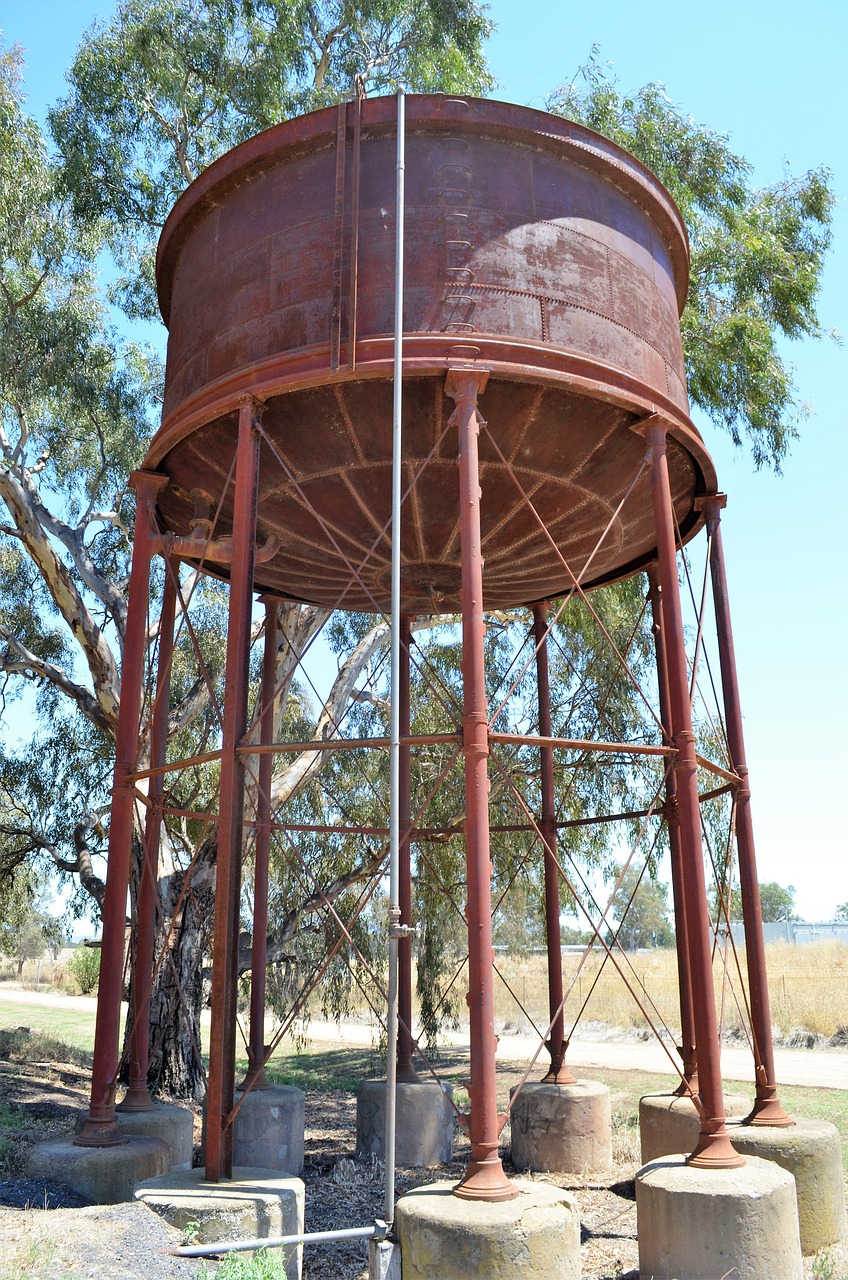 Culinary and Cultural Journey in Mansfield, TX