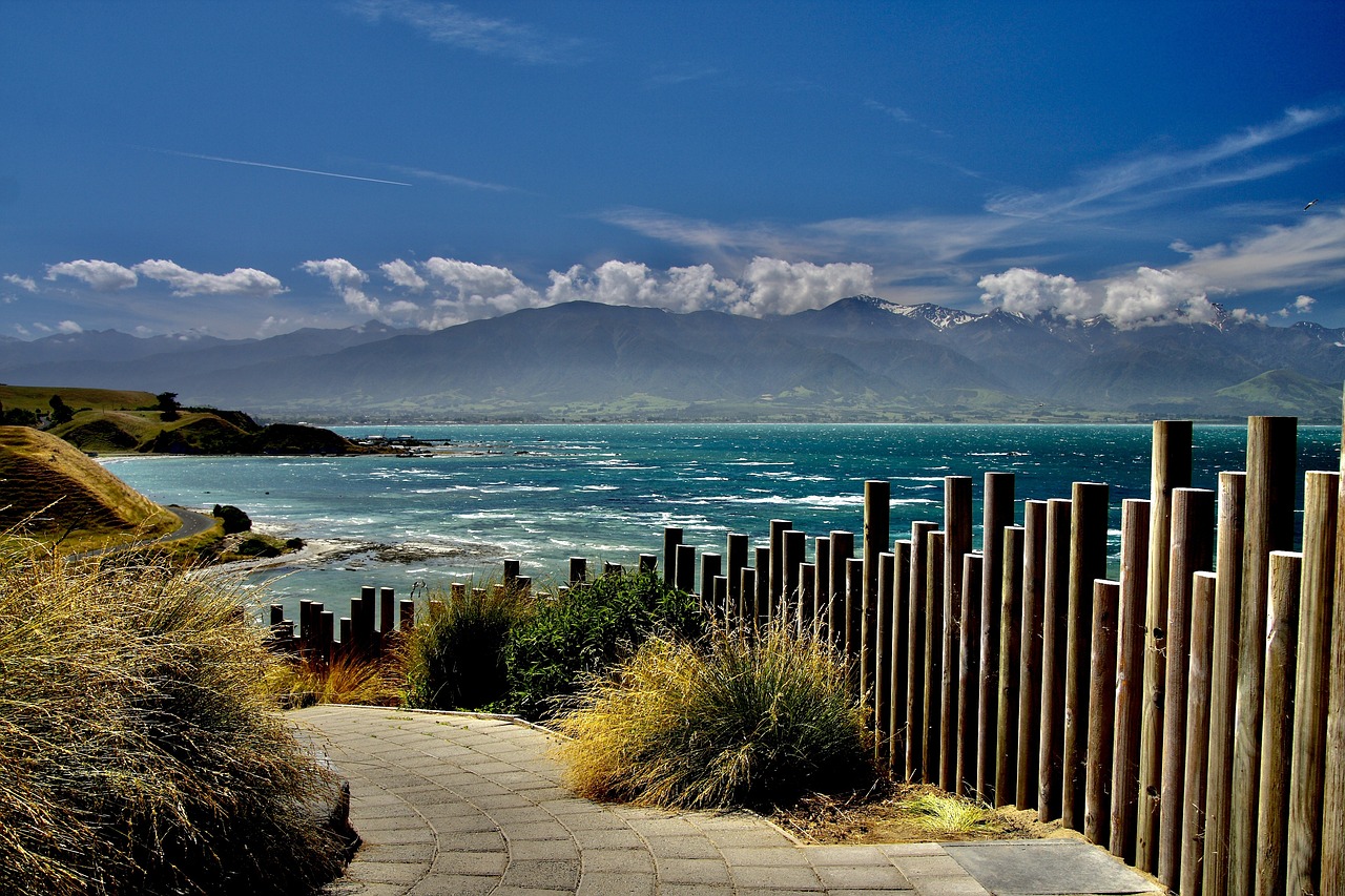 Avventure Marine a Kaikoura