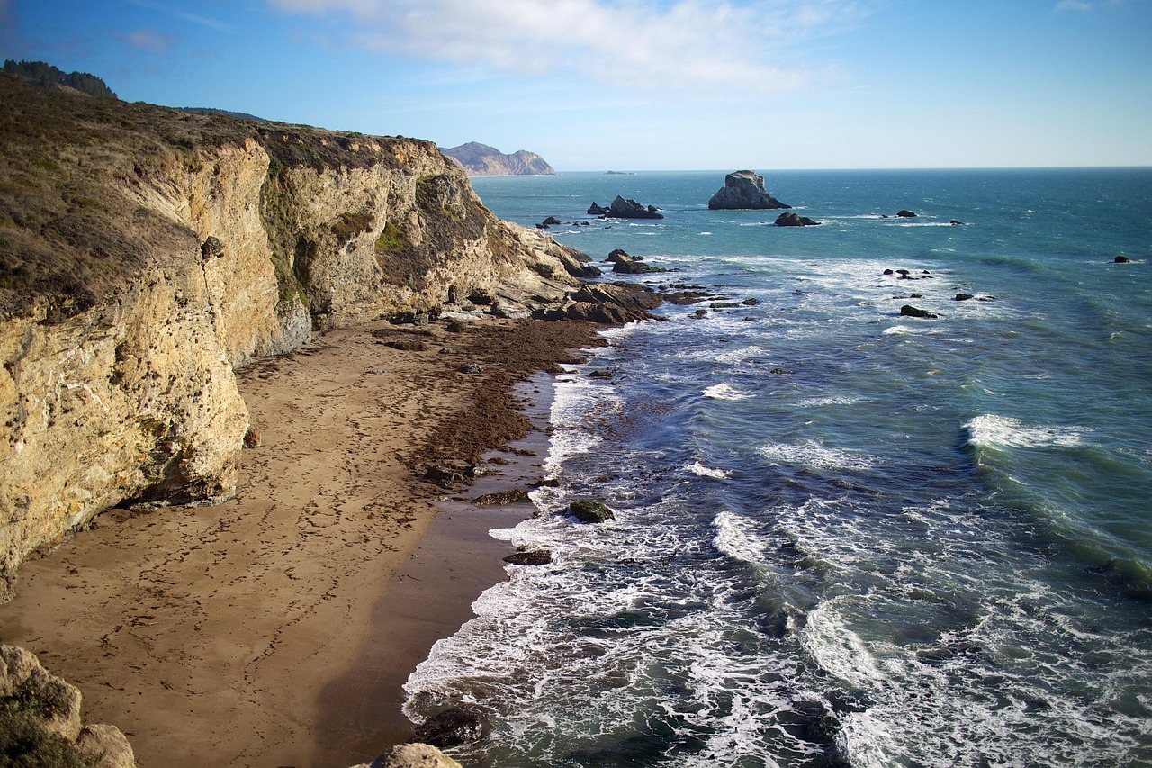 Coastal Delights: Point Reyes and Tomales Bay in 3 Days