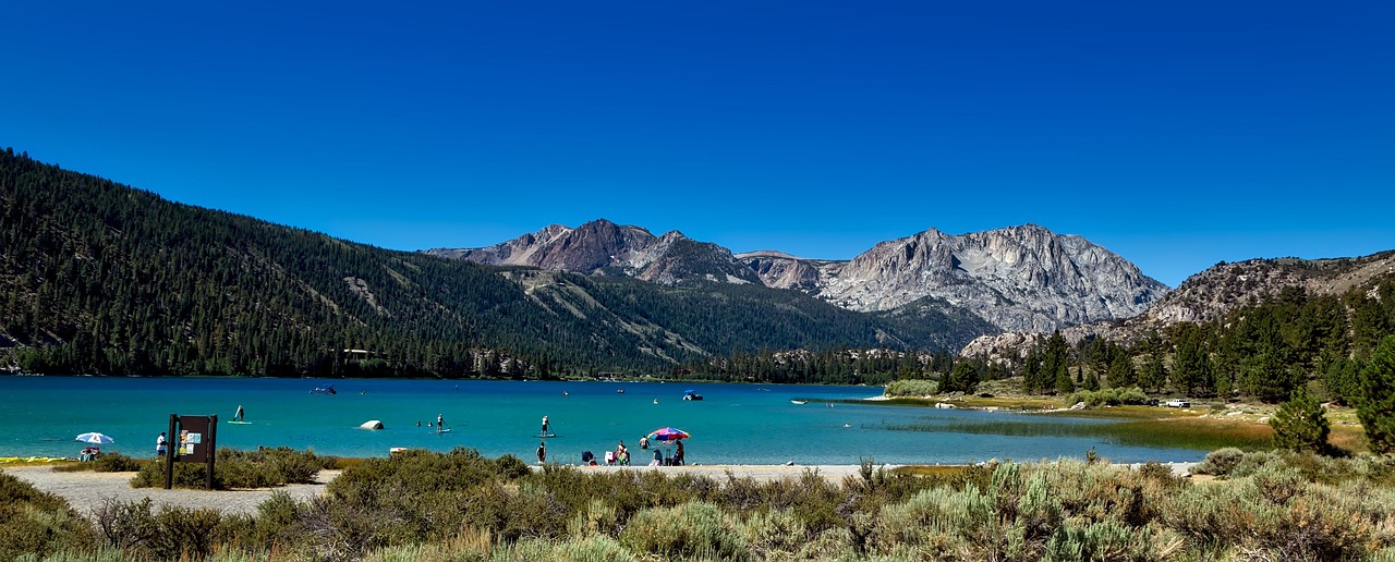 Scenic Delights in June Lake