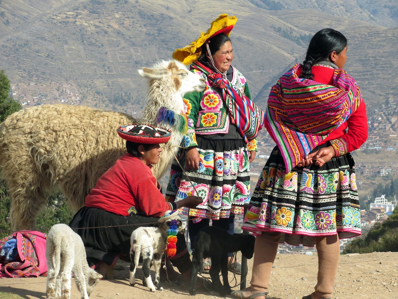 Stargazing and Nature Adventure in Vicuña