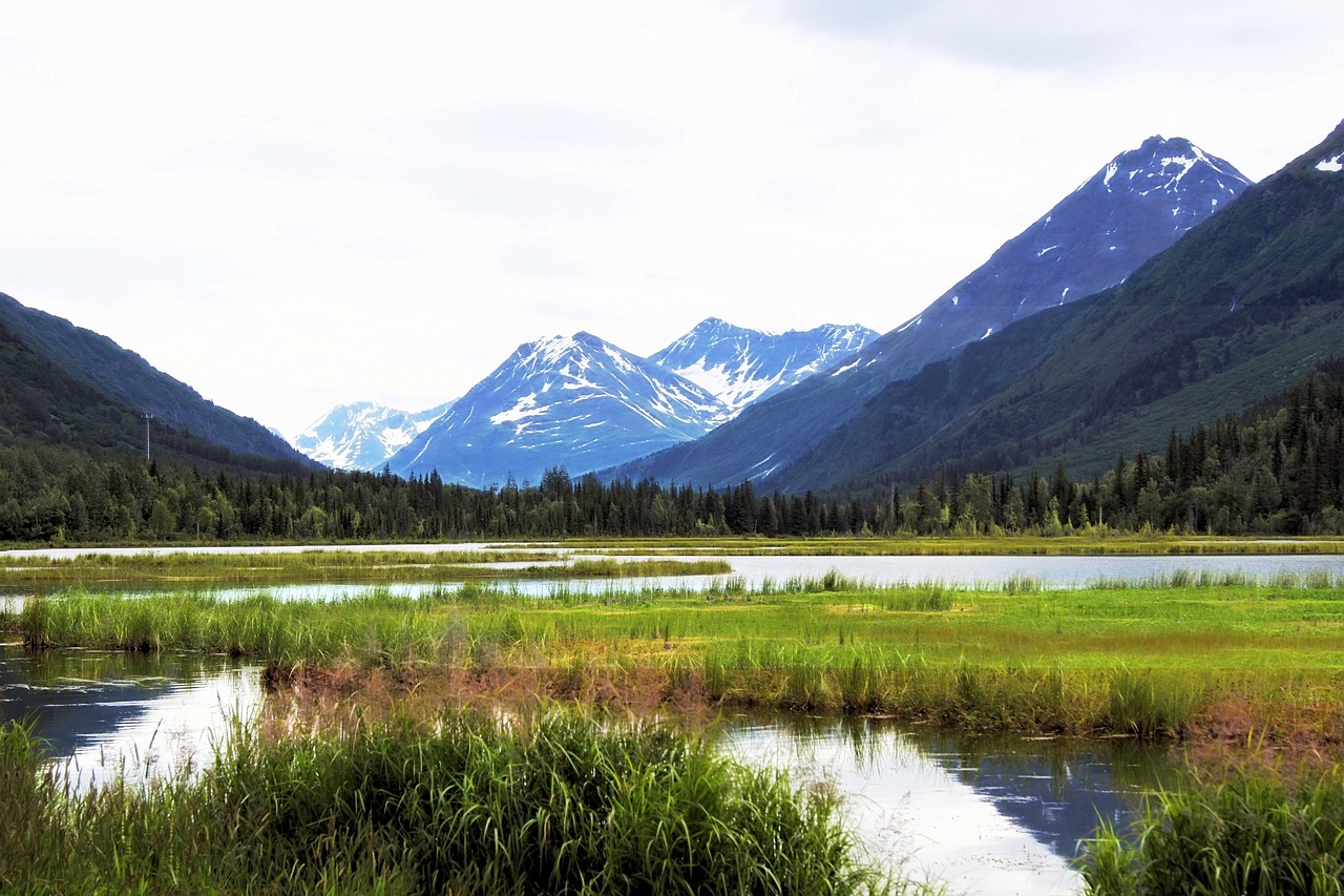 Scenic Seward, Alaska: Wildlife, Glaciers, and Local Cuisine