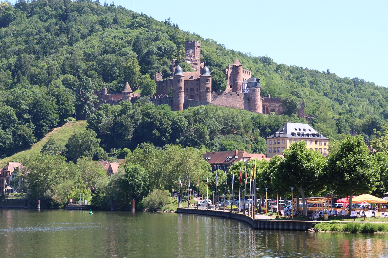 Historical and Culinary Exploration of Wertheim