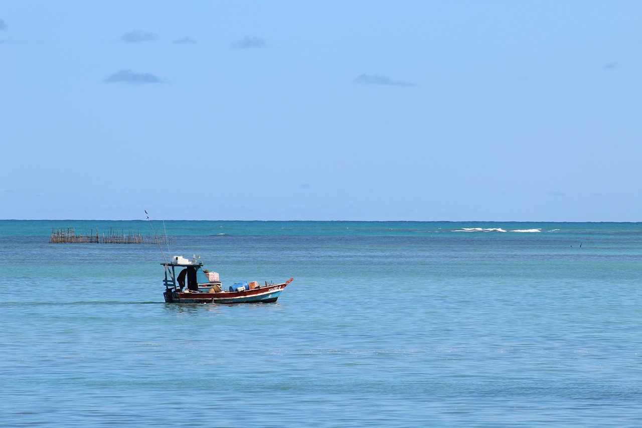 Beach Paradise: Maceió, Maragogi & Recife in 5 Days
