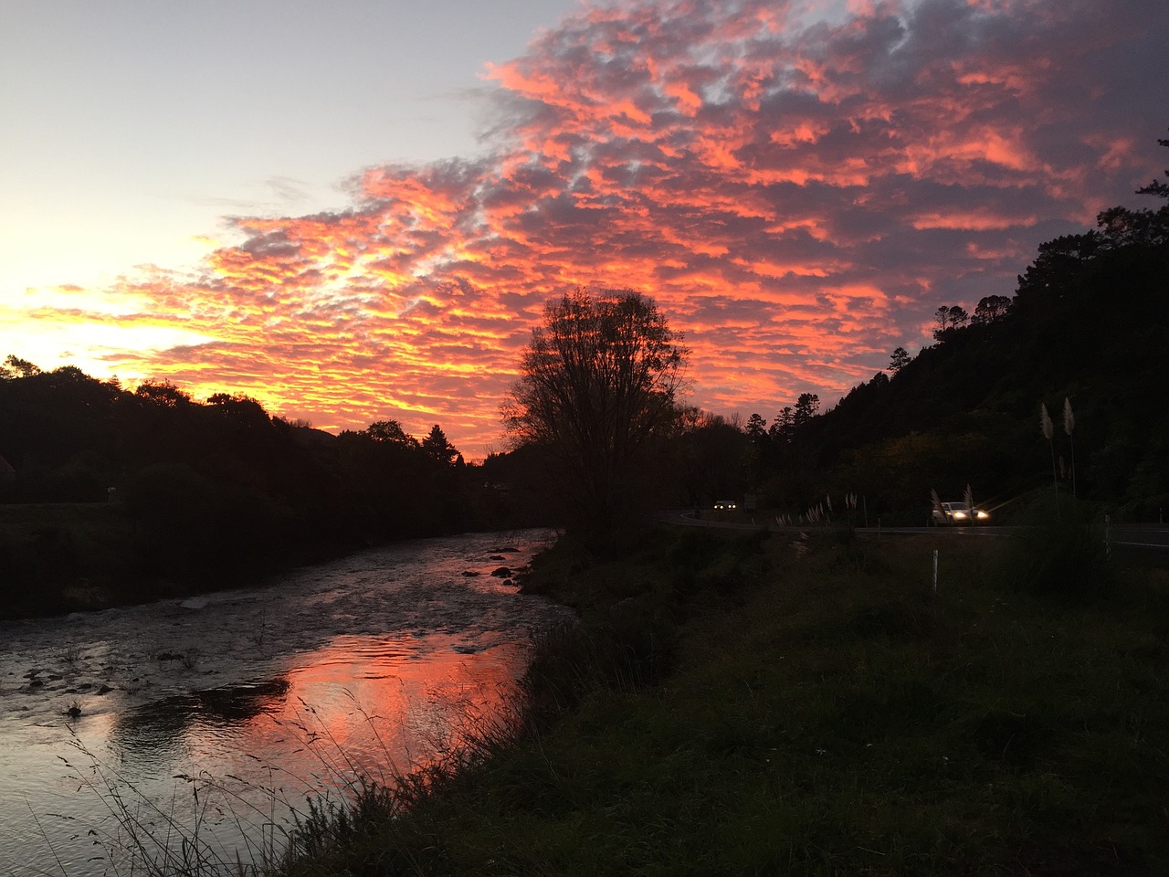 Beachside Bliss and Culinary Delights in Waihi