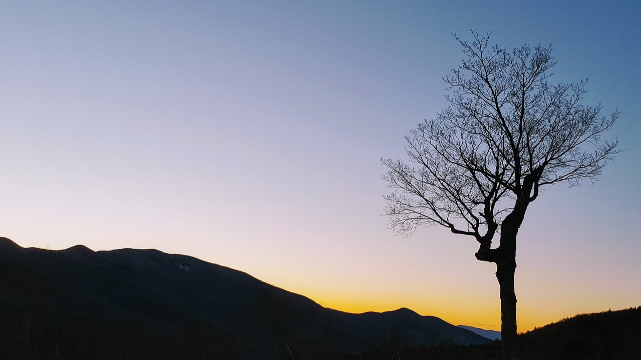 Scenic Delights of Kancamagus Highway