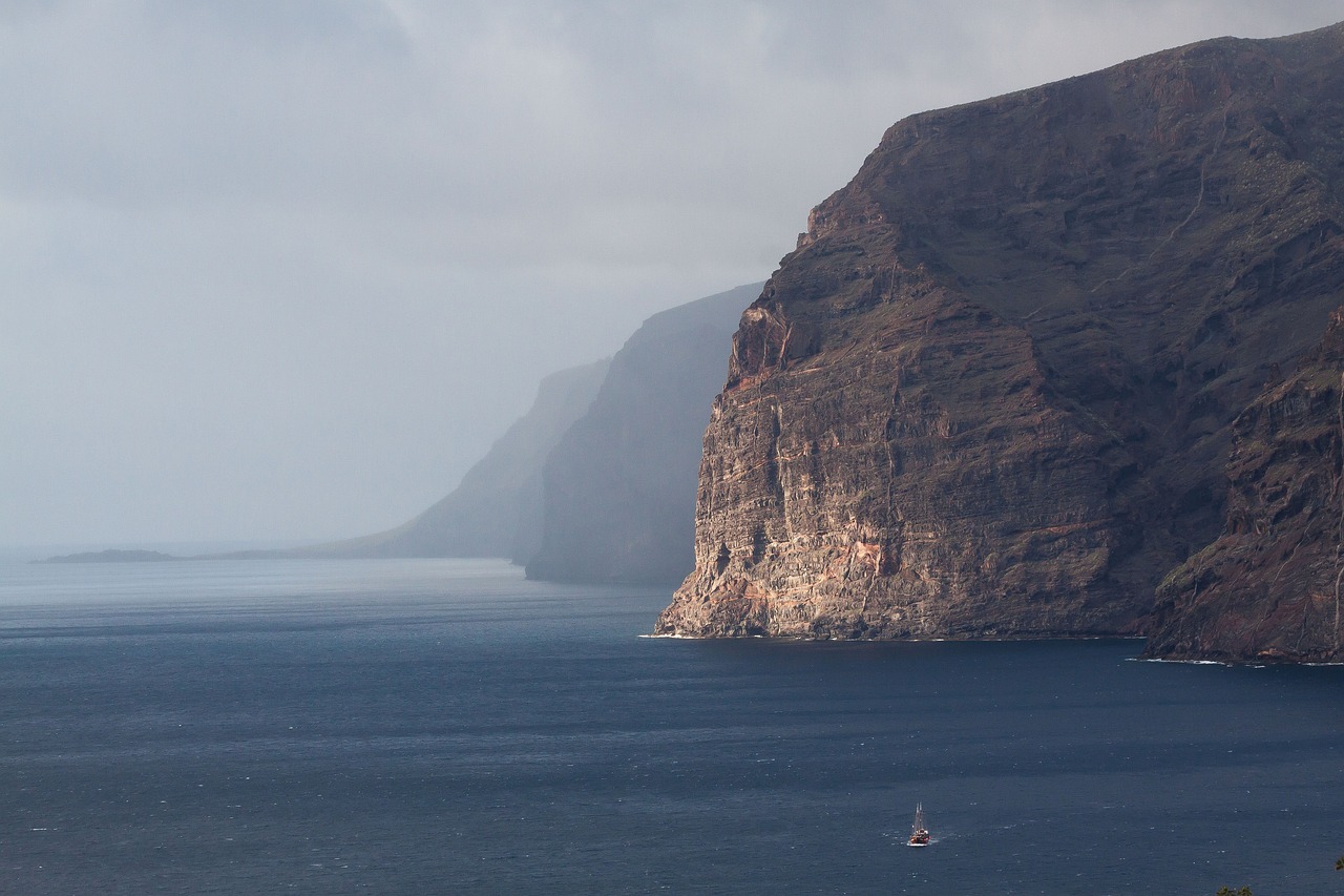 Whale Watching and Teide Stargazing in Santiago del Teide