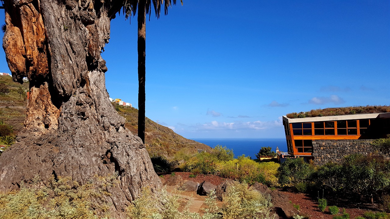 Whales, Volcanoes & Gastronomy in Icod de los Vinos