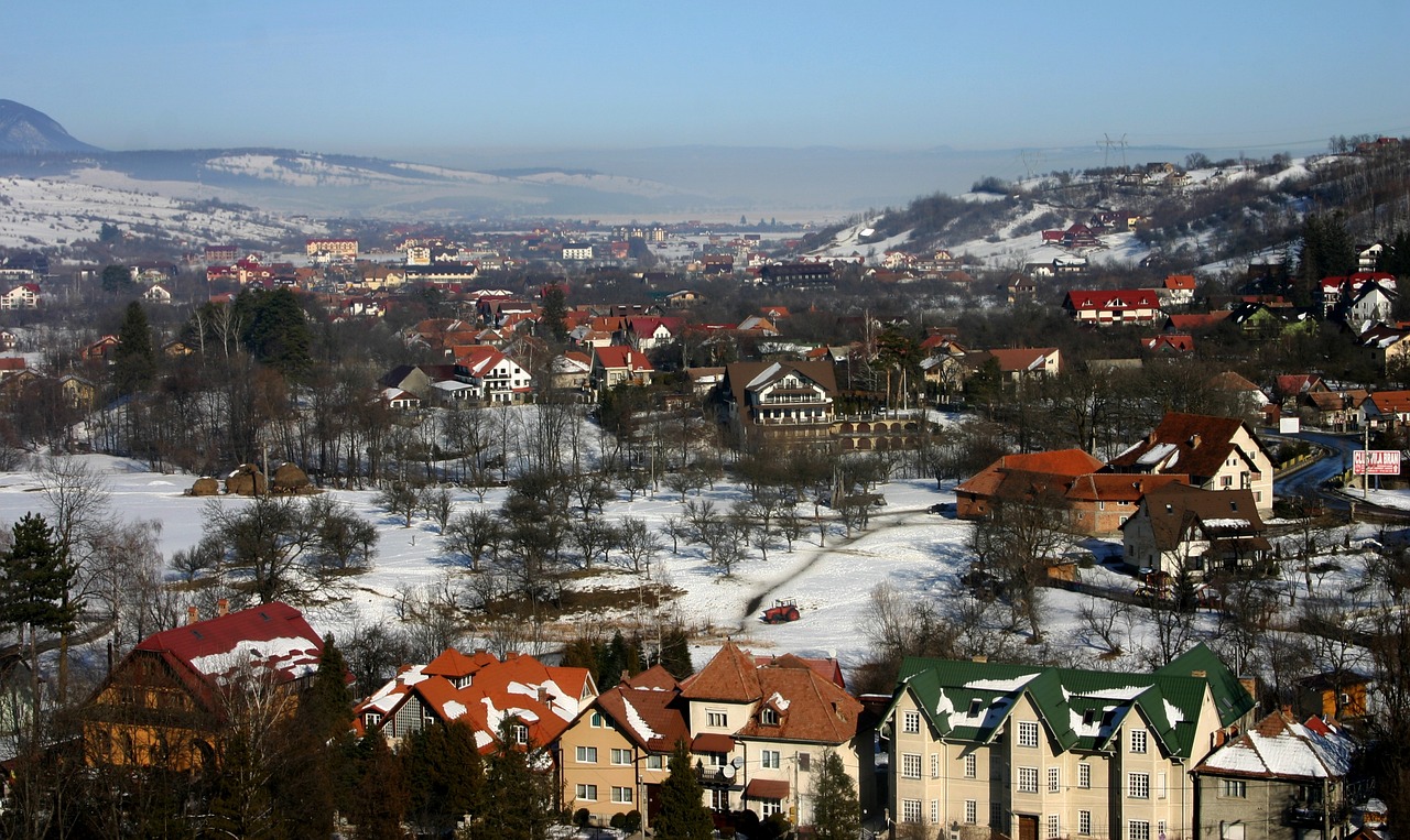 Medieval Castles and Bear Watching in Brasov