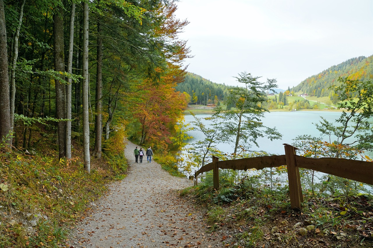 Alpine Adventure in Scheffau: Hiking, Romance, and Family Fun