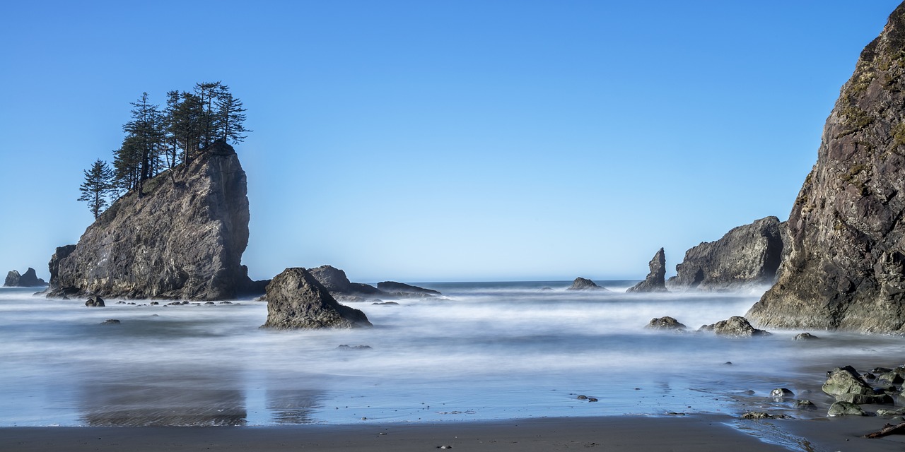Immersive Nature Exploration in Olympic National Park