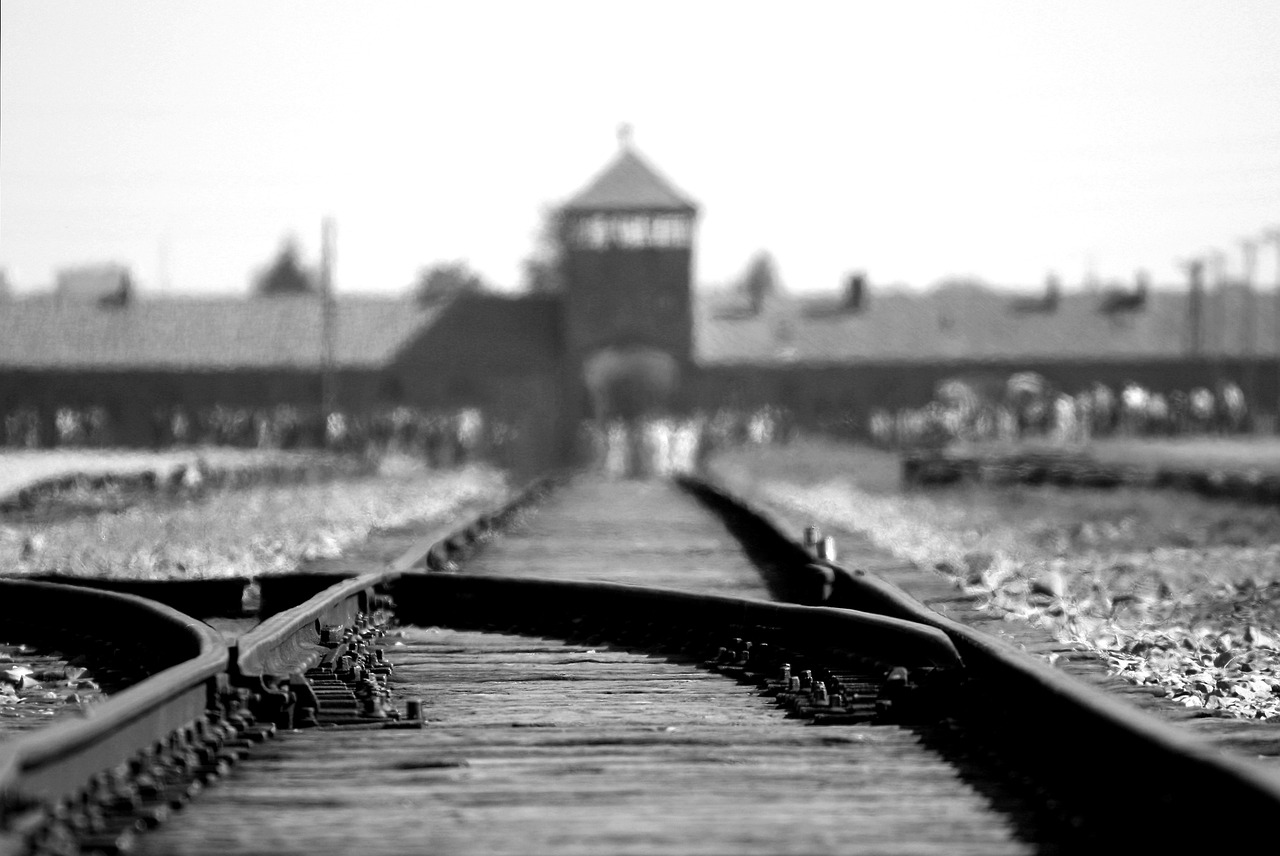 Experiencia Histórica en Oświęcim: Auschwitz-Birkenau y Degustación de Vodka