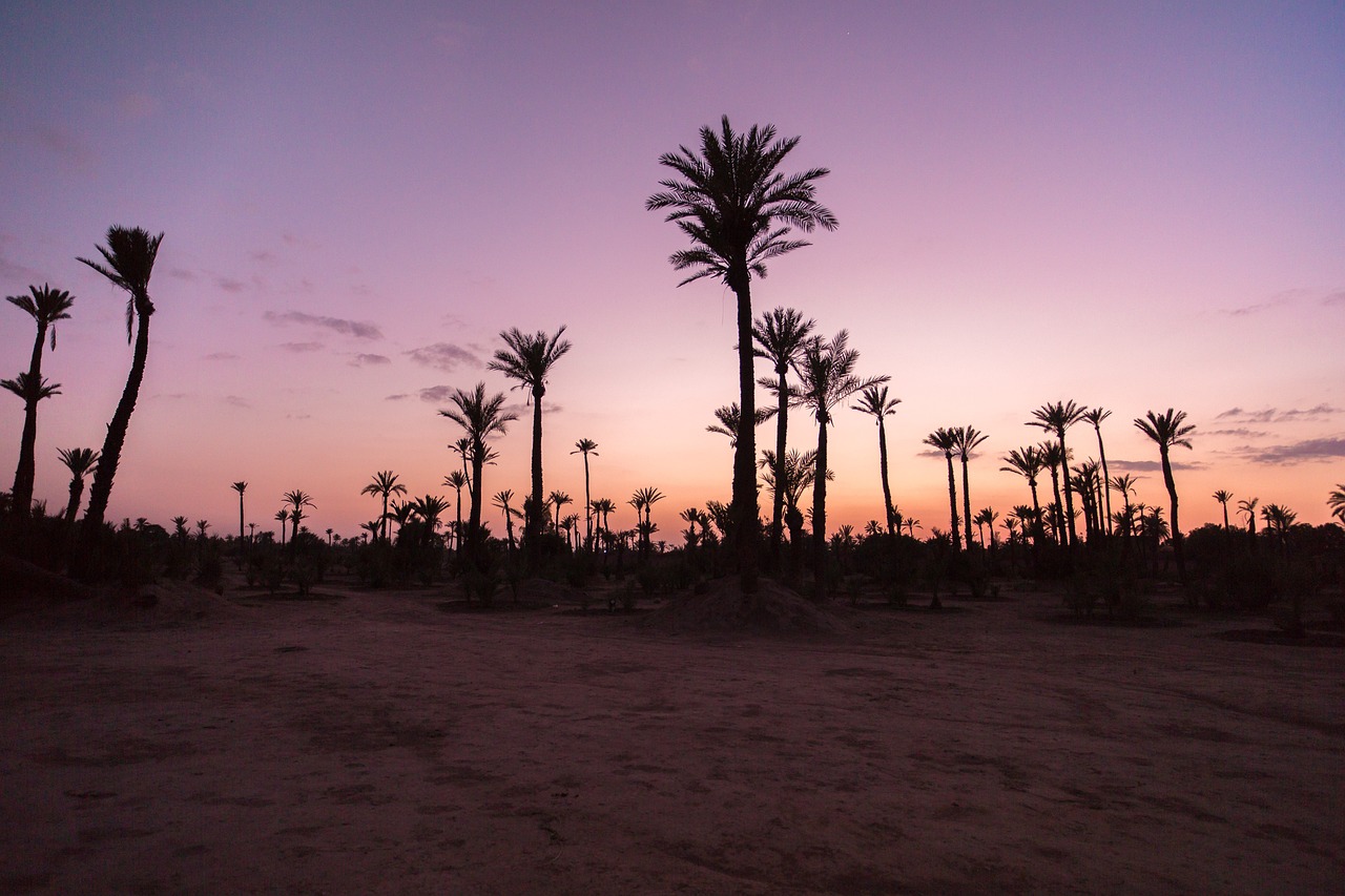 Desert Delights: A 5-Day Palm Desert Escape
