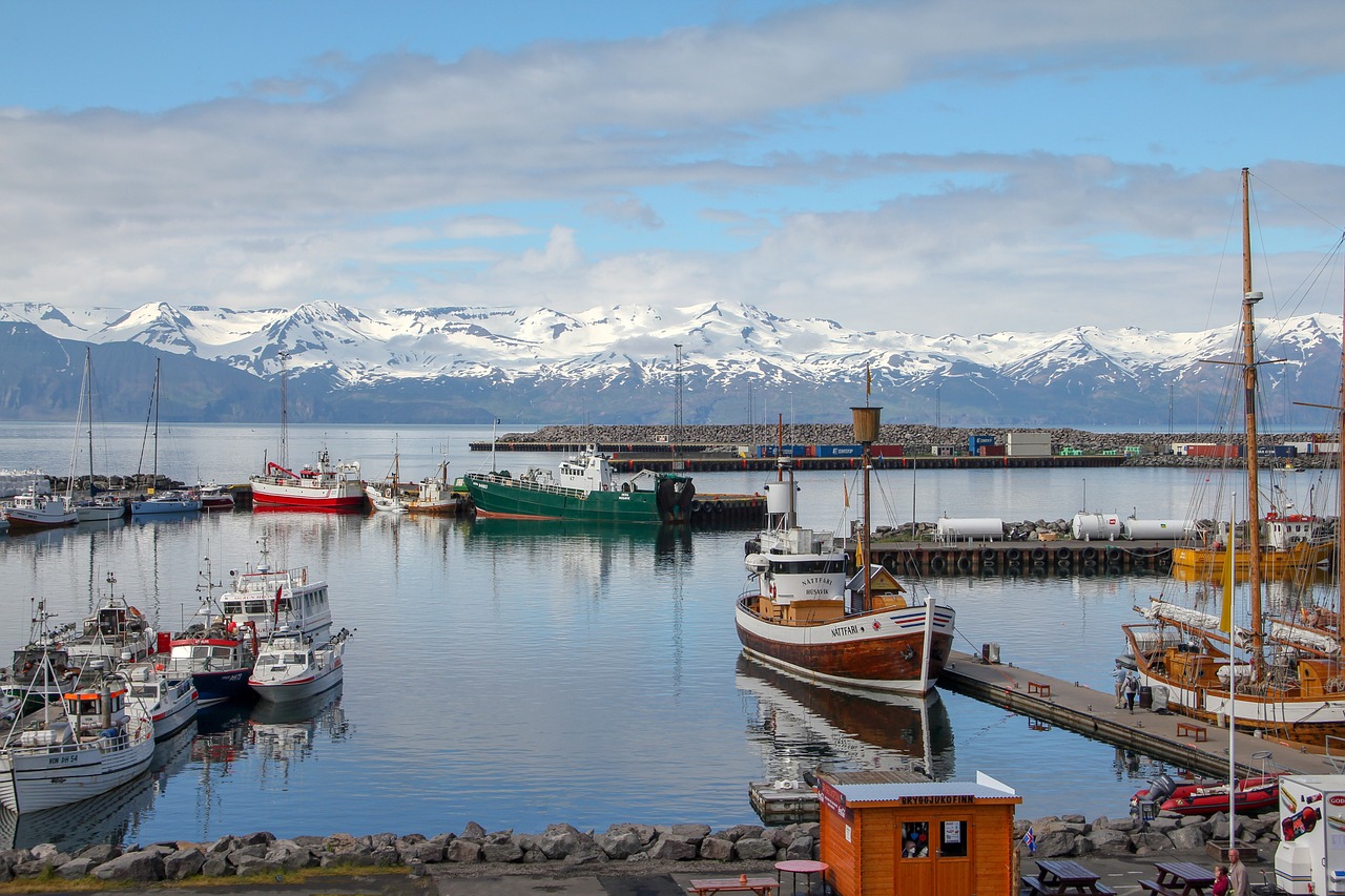Whale-Watching and Geothermal Relaxation in Húsavík