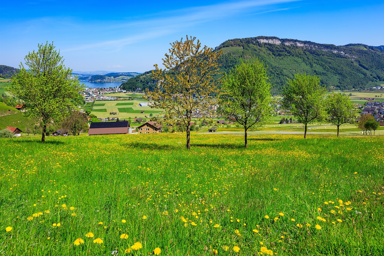 Scenic Nidwalden: Lakes and Mountains