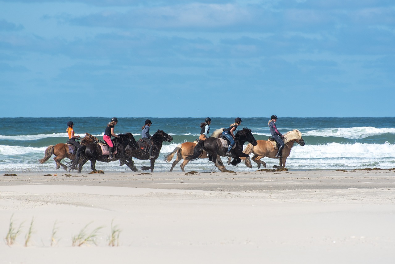 Mysterious Murder Games and Culinary Delights in Terschelling