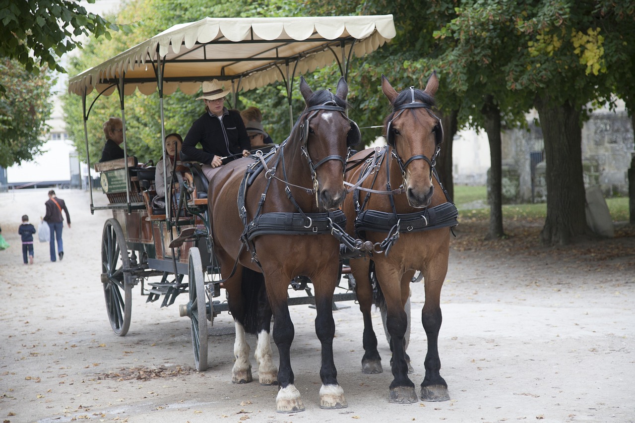 Royal Retreats: Fontainebleau and Vaux le Vicomte