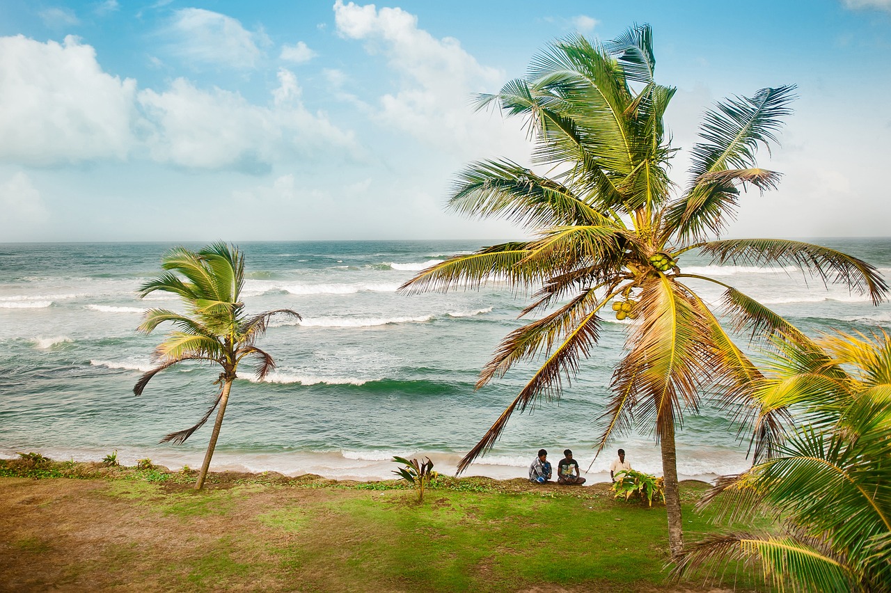 Beach, Culture, and Wildlife: A 7-Day Sri Lanka Adventure