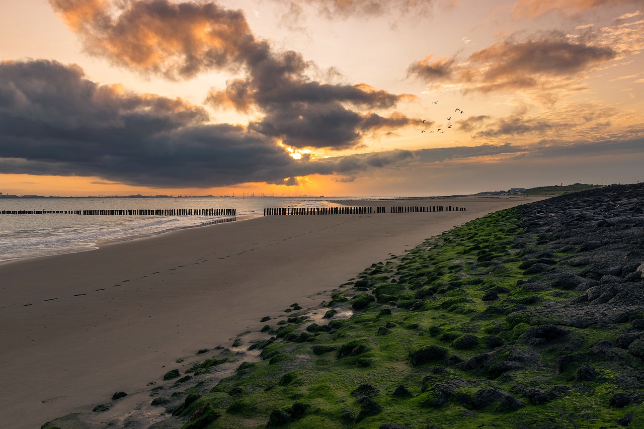 Discovering Zeeland: From Coast to Historic Towns