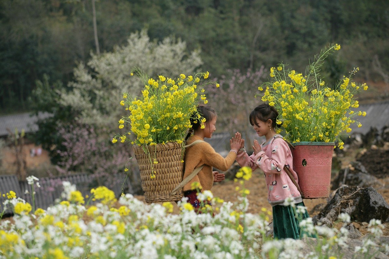 Ha Giang Loop: Scenic Views, Culture & Cuisine in 3 Days