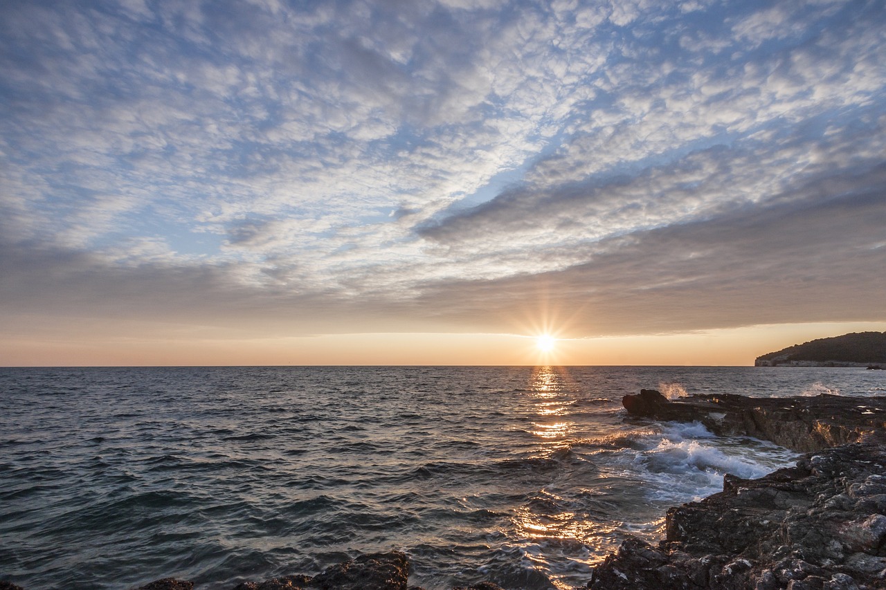 Roman Ruins, Seafood Delights & Dolphin Watching in Pula