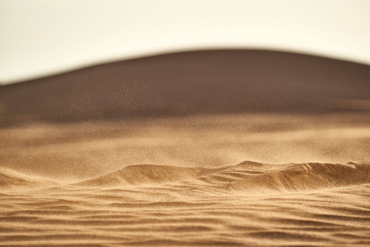 Outdoor Adventure at Great Sand Dunes