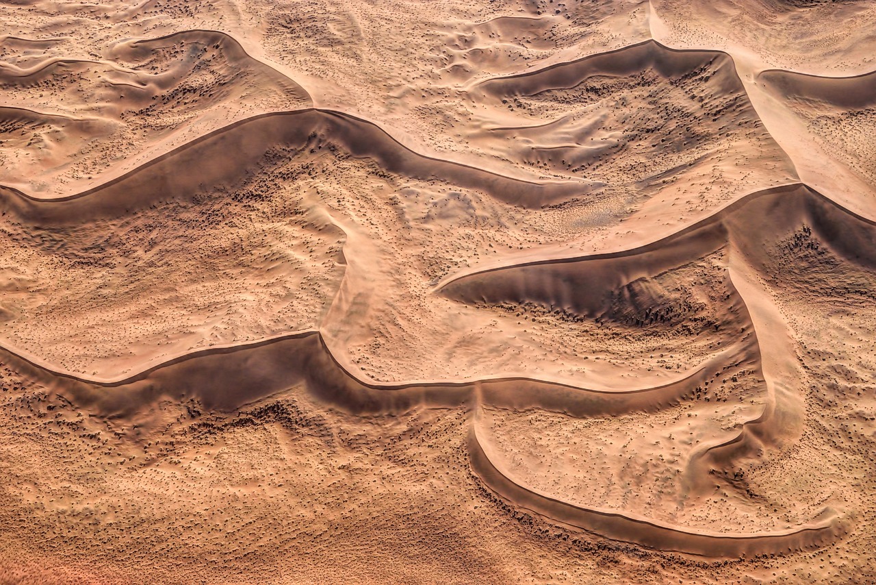 Desert Delights in Sossusvlei